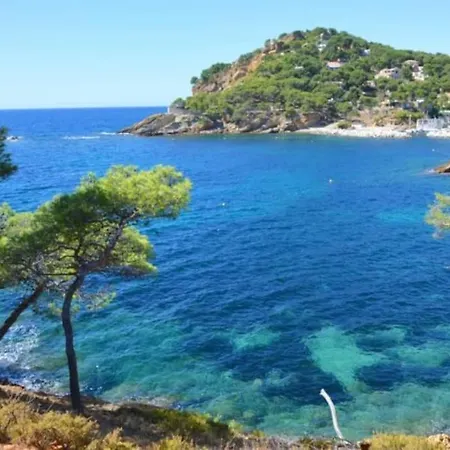 Grand Studio 30M Avec Jardin Proche Des Plages Sausset-les-Pins Exterior foto
